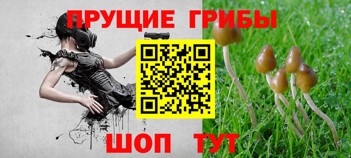 Новый Уренгой  Псилоцибиновые грибы ЛСД  как найти   Вход с VPN 